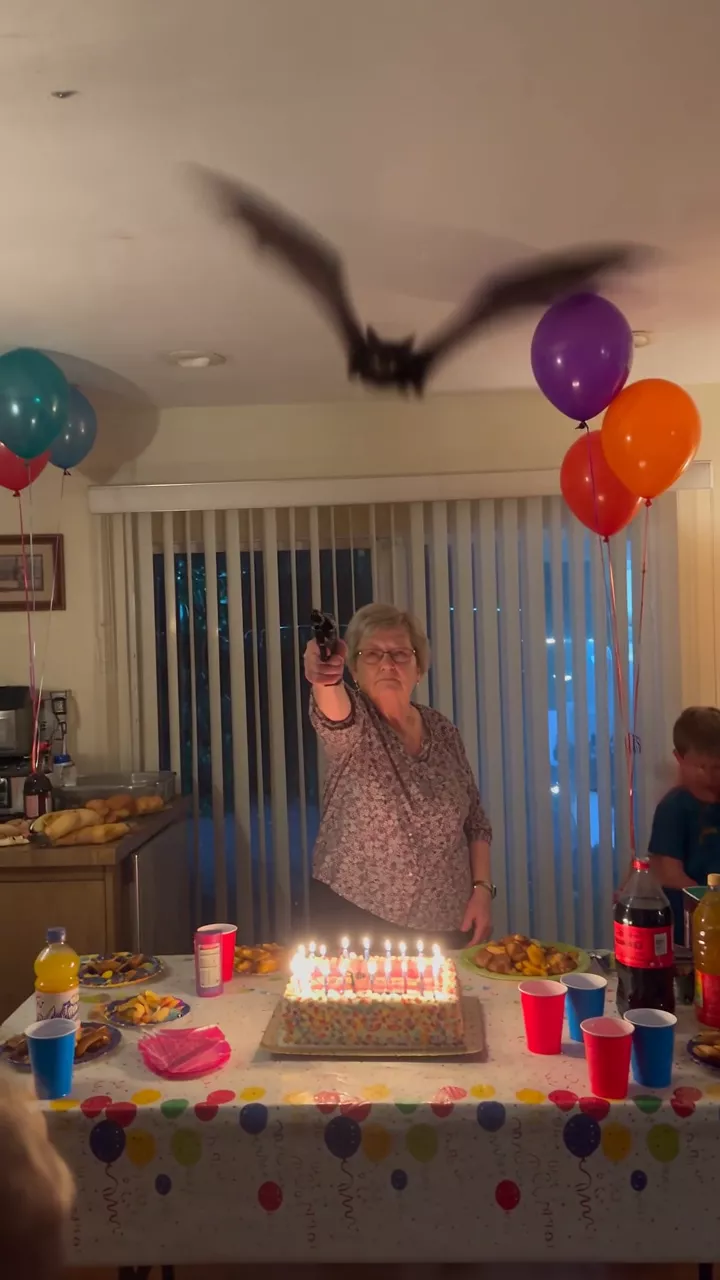 A crowded living room birthday party with balloons and a cake: bats fly over the guests while kids run past the camera and a grandmother at the cake table fires a handgun toward the ceiling