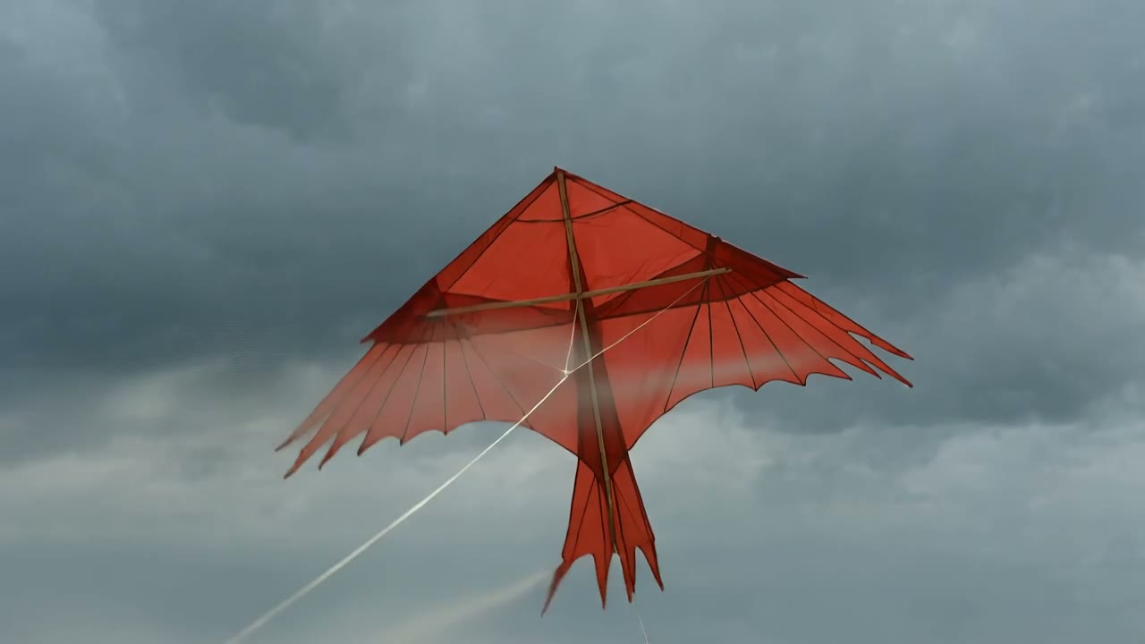 Esempio creato con HappyHorse 1.0: A red kite snaps taut and climbs against low grey cloud over an empty beach, the camera tilting up to follow it, wind-driven sand streaming across…