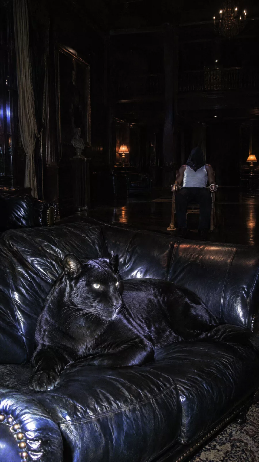 The mansion background plate: a black panther lying on a black leather couch lit by a camera flash, and, deep in the dark room, a hooded man sitting in a chair