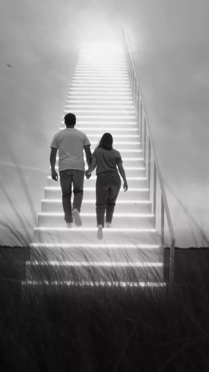 Black and white: a couple holding hands climbs a long glowing white staircase that rises out of a field of tall grass into bright clouds