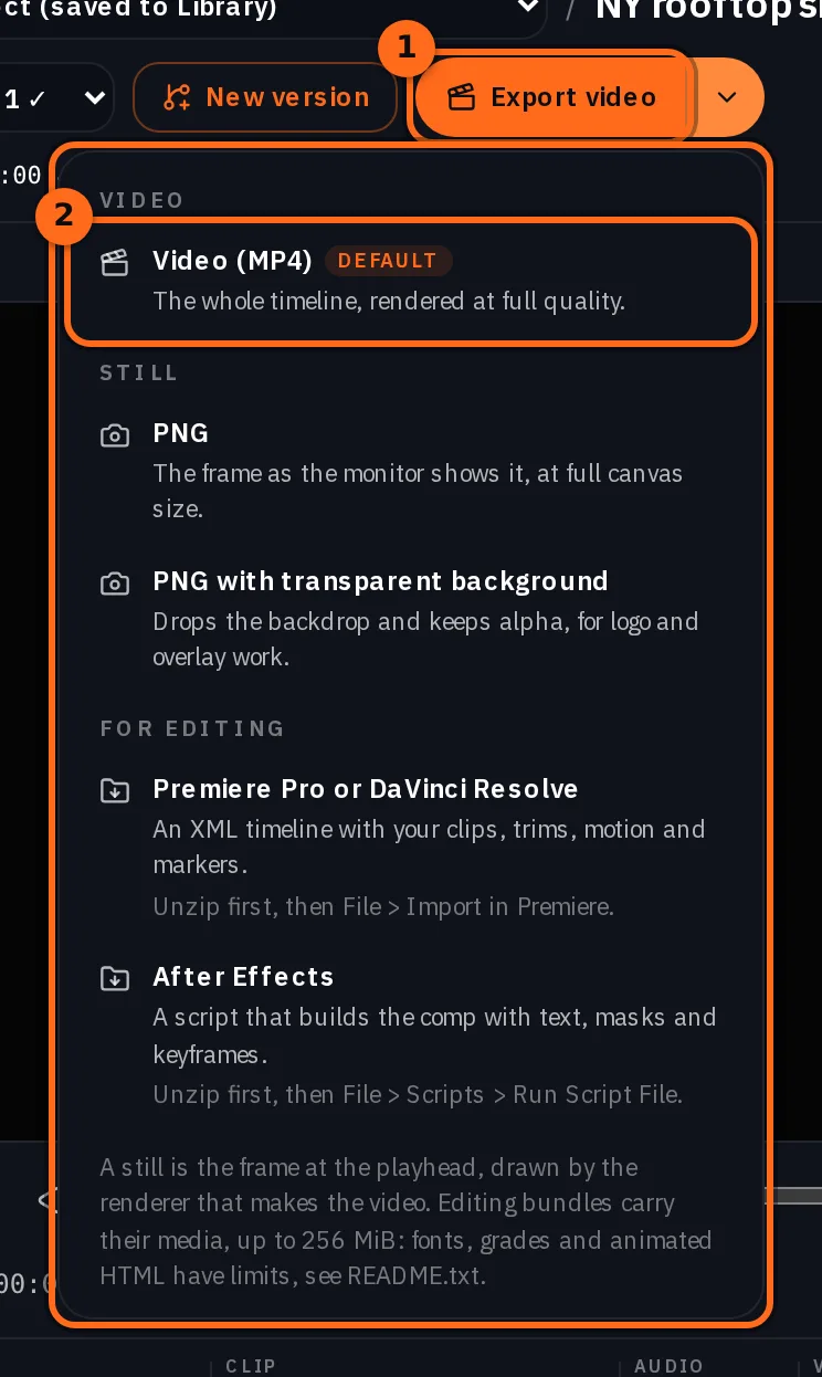 O botão **Exportar vídeo** com o menu aberto: Vídeo (MP4) como padrão, duas imagens estáticas PNG e, em Para edição, Premiere Pro ou DaVinci Resolve e After Effects